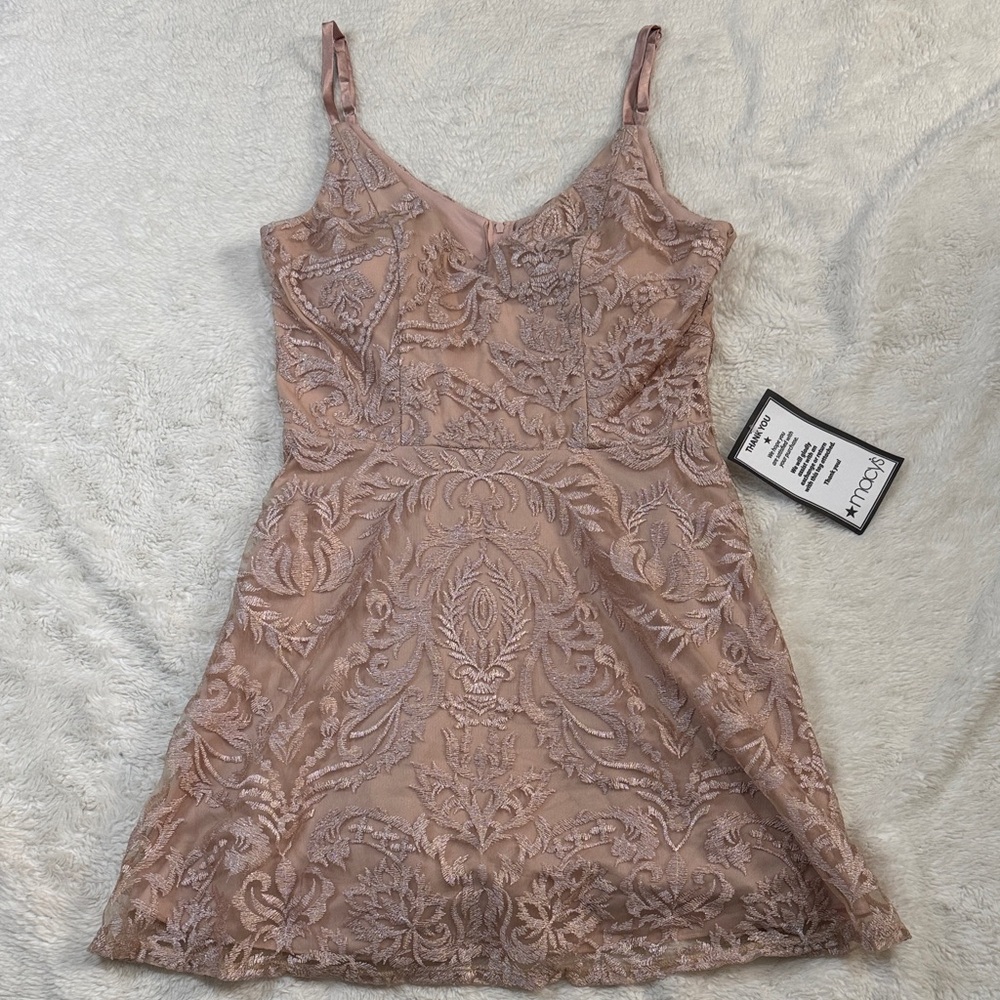 NWT Elegant Lace Dress in Blush‎ Pink